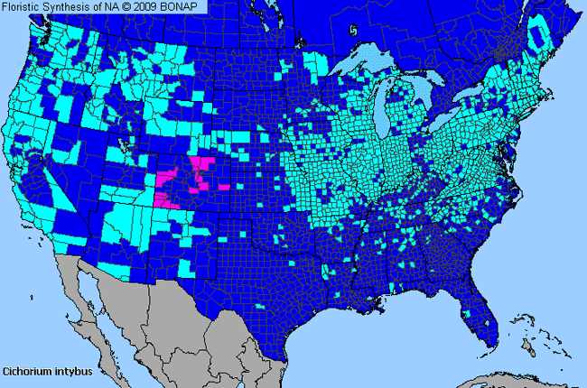 Allergies By County Map For Chicory