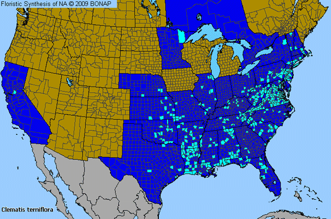 Allergies By County Map For Sweet Autumn Virgin's-Bower