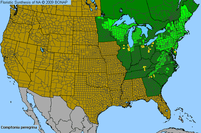 Allergies By County Map For Sweet-Fern