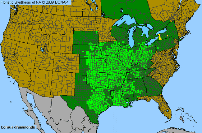 Allergies By County Map For Rough-Leaf Dogwood