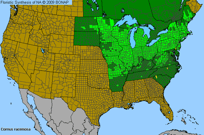 Allergies By County Map For Gray Dogwood