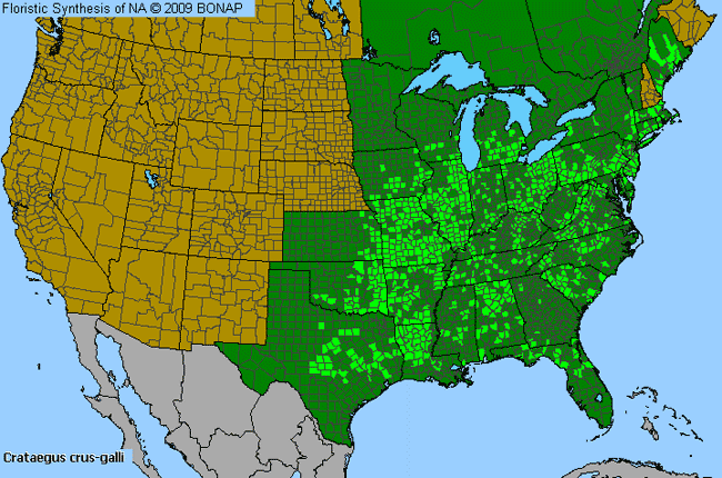 Allergies By County Map For Cock-Spur Hawthorn