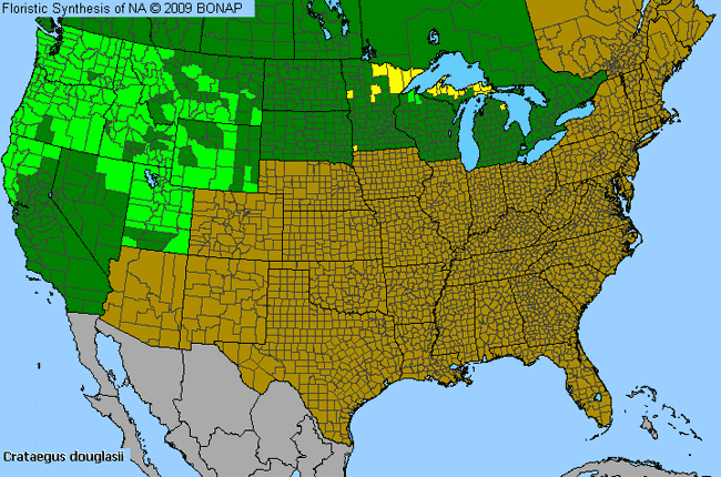 Allergies By County Map For Black Hawthorn