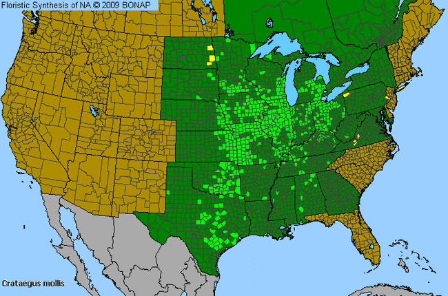 Allergies By County Map For Downy Hawthorn