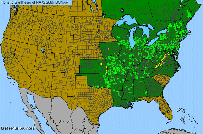 Allergies By County Map For Waxy-Fruit Hawthorn