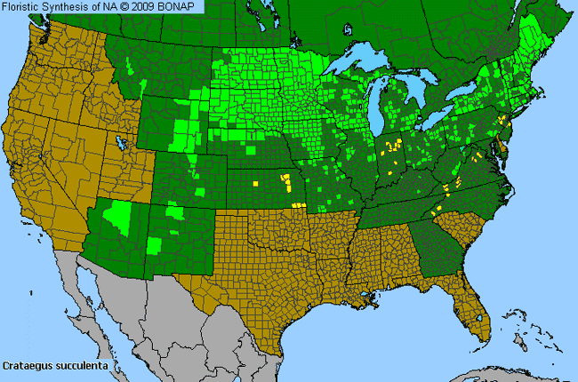 Allergies By County Map For Fleshy Hawthorn