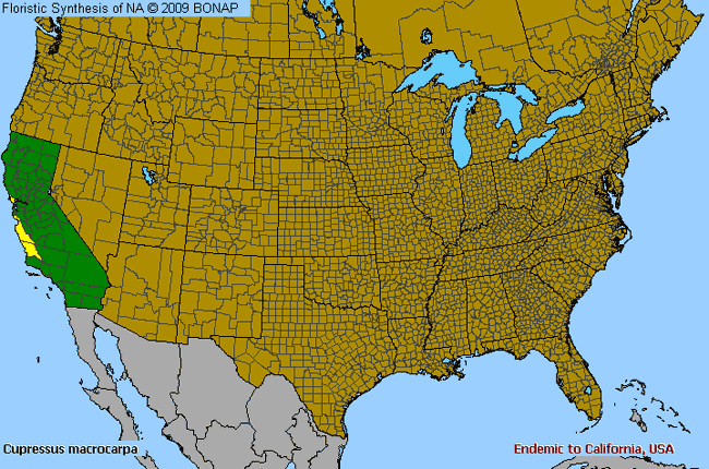 Allergies By County Map For Monterey Cypress