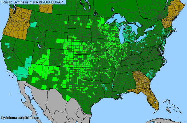 Allergies By County Map For Winged-Pigweed