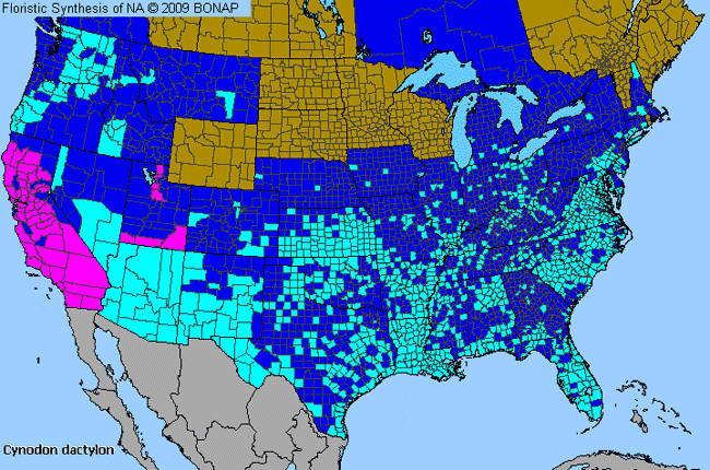 Allergies By County Map For Bermuda Grass