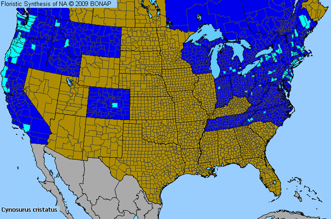 Allergies By County Map For Crested Dog's-Tail Grass