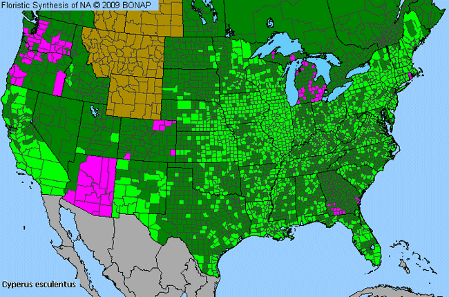 Allergies By County Map For Chufa