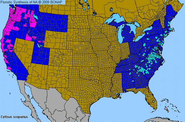 Allergies By County Map For Scotch Broom