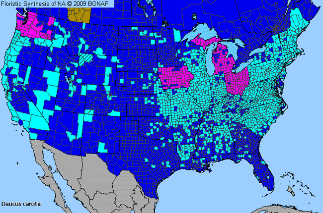 Allergies By County Map For Queen Anne's-Lace