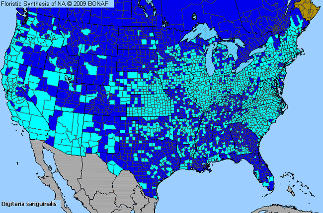 Allergies By County Map For Hairy Crab Grass