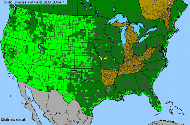 Allergies By County Map For Coastal Salt Grass