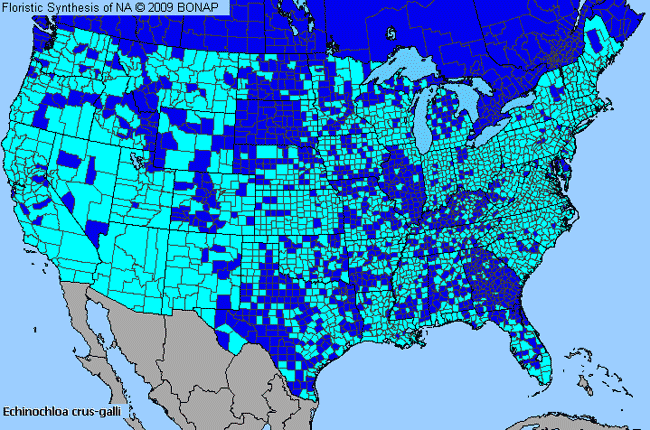 Allergies By County Map For Large Barnyard Grass