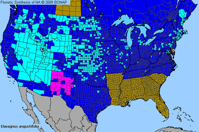 Allergies By County Map For Russian-Olive