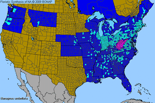 Allergies By County Map For Autumn-Olive