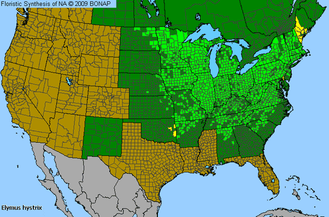 Allergies By County Map For Eastern Bottle-Brush Grass