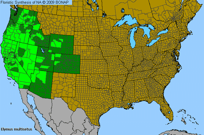 Allergies By County Map For Big Wild Rye