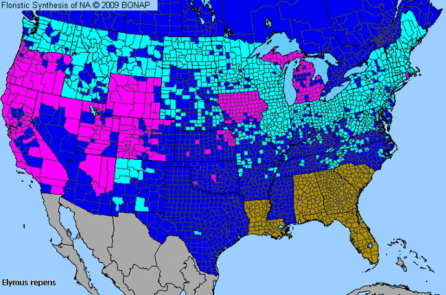 Allergies By County Map For Creeping Wild Rye