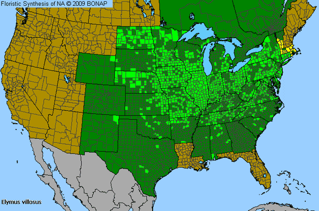 Allergies By County Map For Hairy Wild Rye