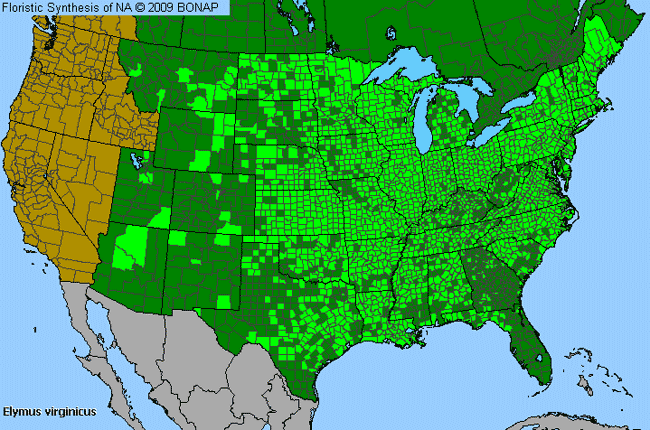 Allergies By County Map For Virginia Wild Rye