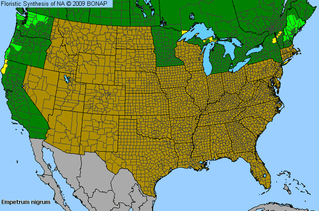 Allergies By County Map For Black Crowberry