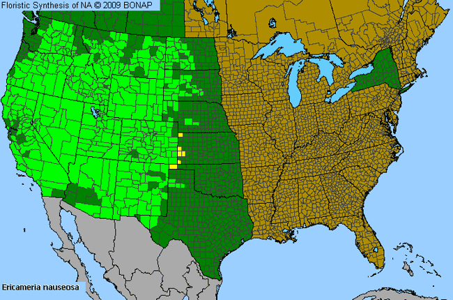 Allergies By County Map For Rubber-Rabbitbrush