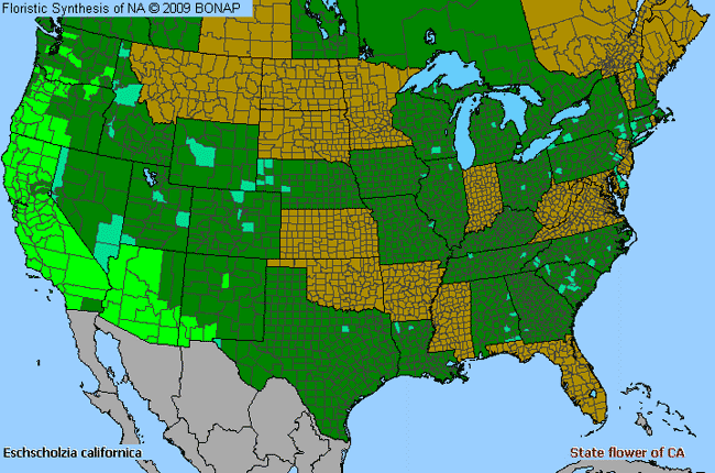 Allergies By County Map For California-Poppy