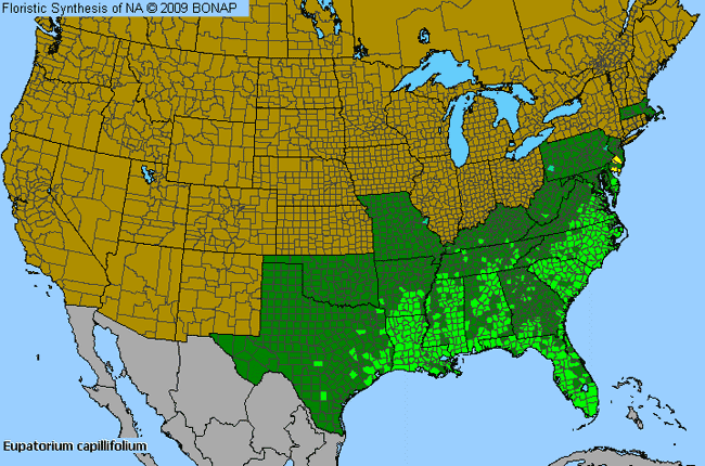 Allergies By County Map For Dog-Fennel