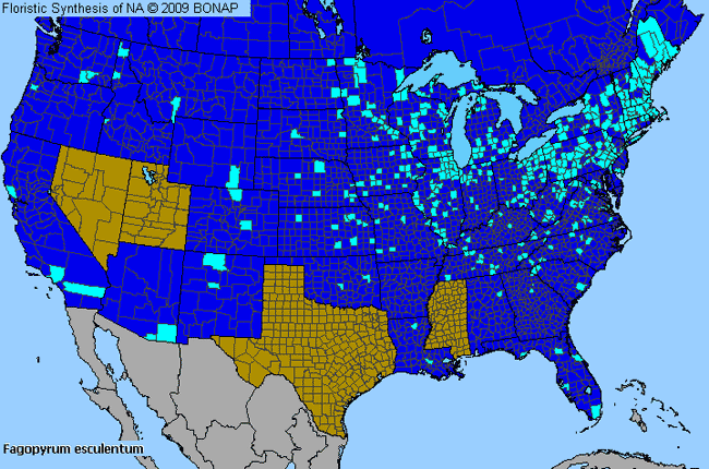 Allergies By County Map For Garden Buckwheat