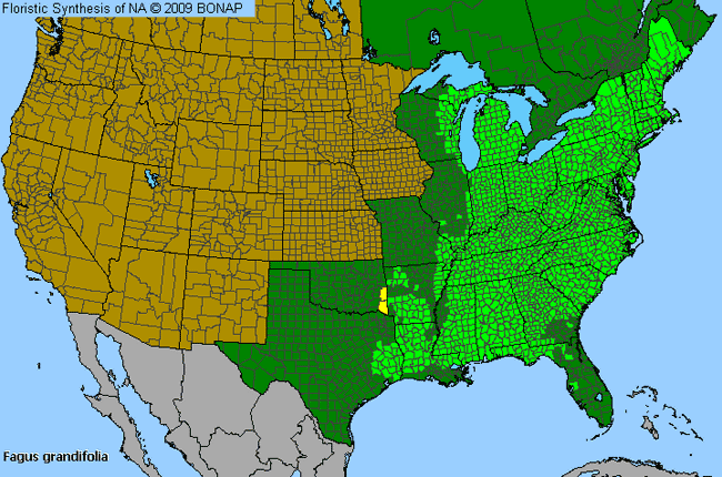 Allergies By County Map For American Beech