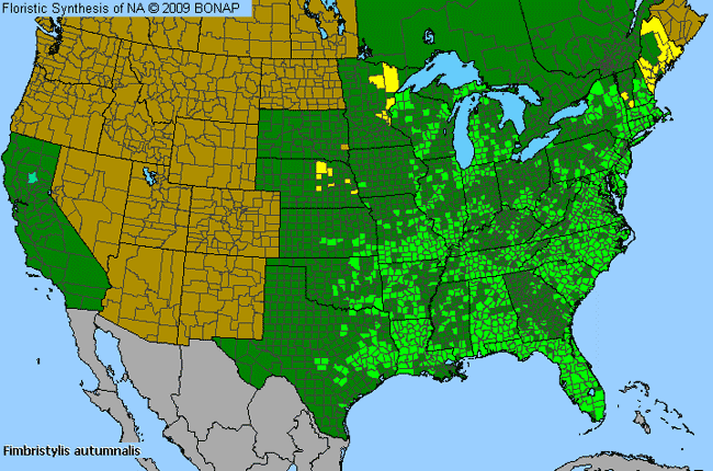 Allergies By County Map For Slender Fimbry