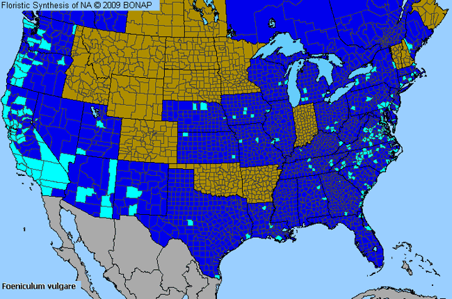 Allergies By County Map For Sweet Fennel