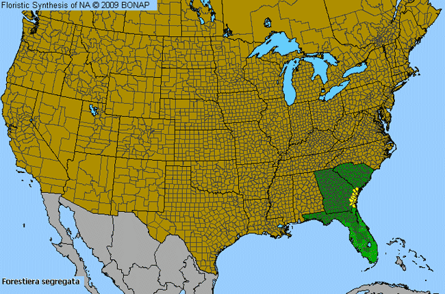 Allergies By County Map For Florida Swamp-Privet