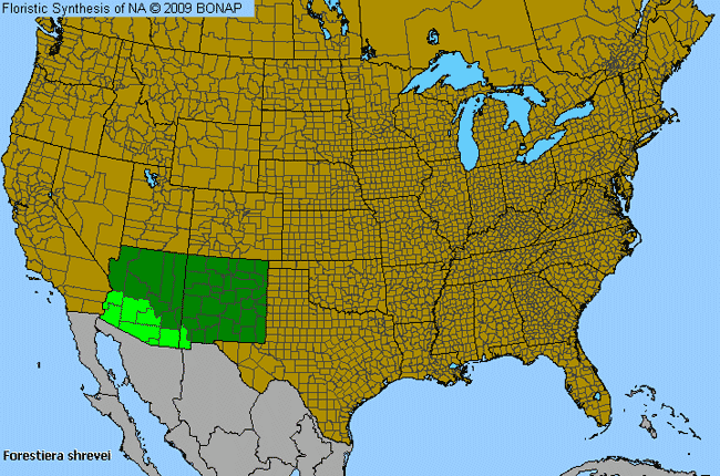 Allergies By County Map For Desert-Olive