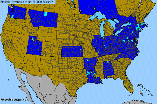 Allergies By County Map For Weeping Forsythia