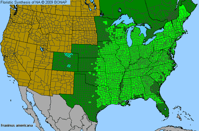 Allergies By County Map For White Ash