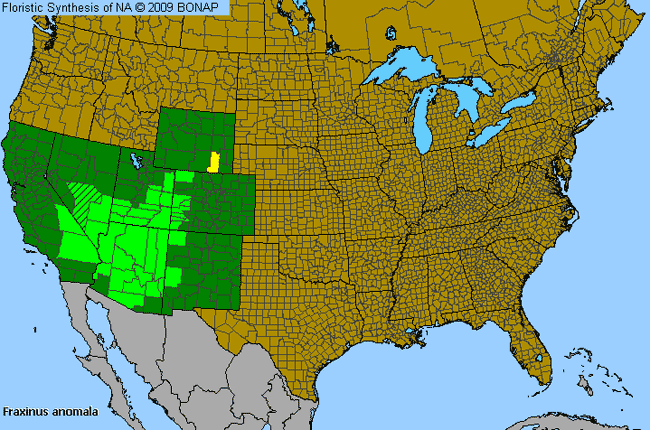 Allergies By County Map For Single-Leaf Ash