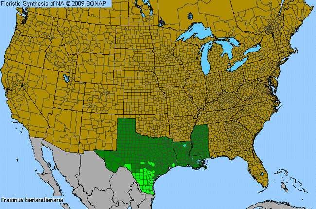 Allergies By County Map For Mexican Ash