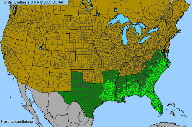 Allergies By County Map For Carolina Ash