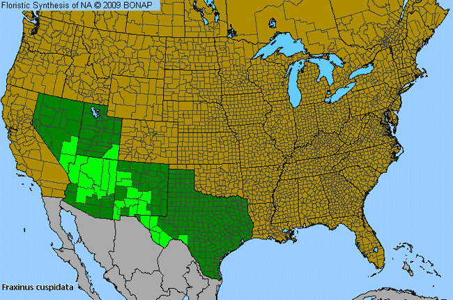 Allergies By County Map For Fragrant Ash