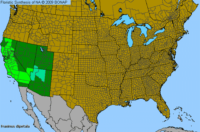 Allergies By County Map For Two-Petal Ash