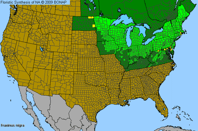 Allergies By County Map For Black Ash