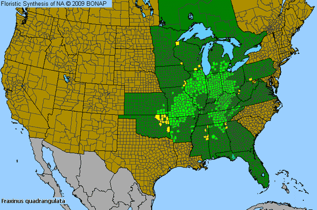 Allergies By County Map For Blue Ash