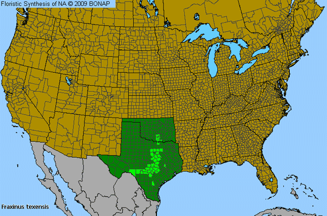 Allergies By County Map For Texas Ash