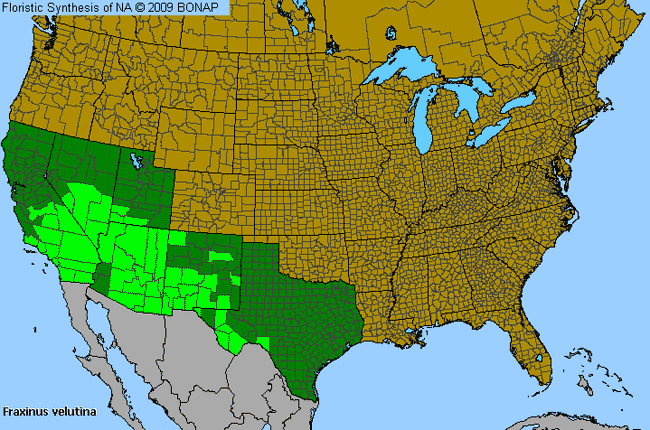 Allergies By County Map For Velvet Ash