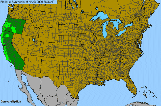 Allergies By County Map For Wavy-Leaf Silktassel