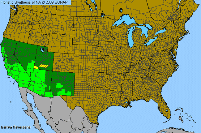 Allergies By County Map For Ashy Silktassel